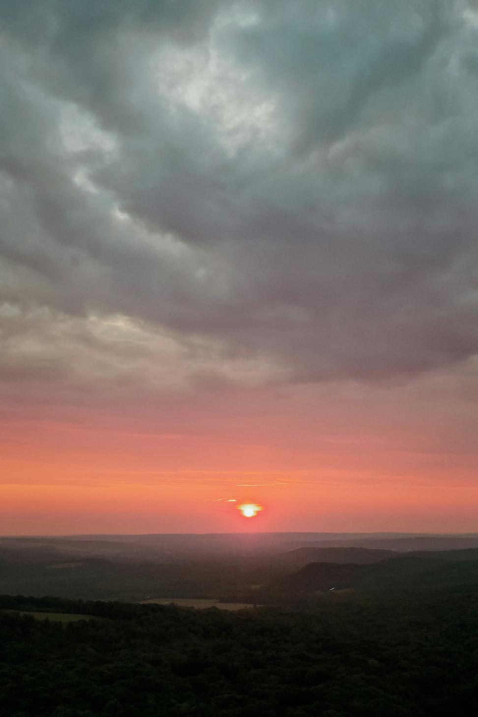Vineyard views at sunset